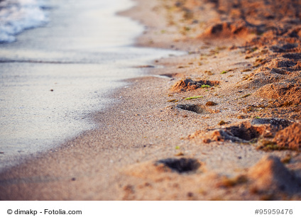 Beach sand tracks Sea nature landscape