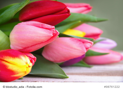 Tulpen zum Valentinstag