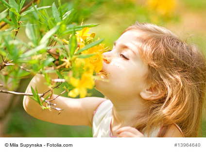 Little girl smells flower